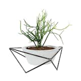 Texas

Tabletop planter by KKDW, $200 With her concrete planter nestled in a welded-steel frame, Austin-based designer Kelly DeWitt elevates humble materials. The rough-hewn finishes and industrial sensibility offer a striking juxtoposition against verdant and lush plants. kkdw.co