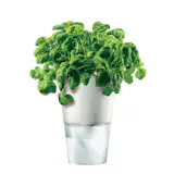 If you want a row of pots on the windowsill but are afraid to plant because of a busy schedule and a tendency to forget the required watering, these pots are the perfect solution. Tiny nylon threads extend from the pot into a water reservoir below, helping extend roots’ reach and thus giving chives or tomatoes at least a week’s worth of water.
