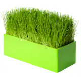 It only takes about four days to start seeing the first shades of green sprouting from these Haute Culture mini gardens by French brand Racine Carré. Grow grass, basil or peas in three different sizes of sleek acrylic boxes and watch as your indoor garden begins to bloom. Available in the US from A+R Store.