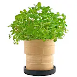 Everything you need to grow organic basil—soil, seeds, planter. The real bamboo planter works as the grow pot and the top of the container is the saucer. Brilliant!