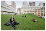 Hypar lawn looking west, Iwan Baan, 2011  Search “Photographer-Iwan-Baan-Honored.html” from Lincoln Center Inside Out