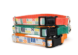 We love these Flagged Collars (from $10) not only for their colorful, graphic pattern but for their eco-friendliness—they're made from recycled plastic bottles!