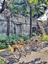 Intramuros, the walled city that was the seat of the government during the Spanish colonial period, is the oldest historical attraction in a city that was firebombed during World War II. Bambikes handcrafts bamboo bicycles with fair trade labor and green building practices. The bikes are the perfect way to explore this part of the city.