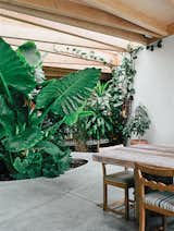Outdoor, Walkways, Gardens, and Hardscapes Custom skylights by Berkeley’s DeFauw Design+Fabrication set above scissor trusses let in the sunlight.  Photo 3 of 5 in This Home is Complete with an Indoor Jungle