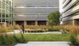 Landscaping served myriad functions at the UCSF Smith Cardiovascular Research Building: to reduce stormwater runoff, buffer winds, create urban wildlife habitat, and foster conections between the city and campus.