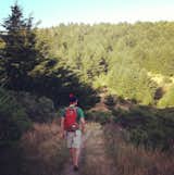 The Excursion pack is not only comfortable and the perfect size, it also looks sharp in the wilderness, especially the Burnt Orange.