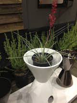 VesseL USA, Inc. planters and containers will be perfect for relocating your seedlings when they’ve grown.