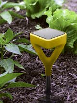 The smart garden stake analyzes pH levels, humidity, and light intensity, then factors in local meteorological readings as it instructs the water valve to hydrate plants as needed.