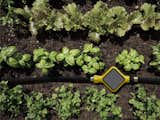 There have been other connected soil analyzers like the Koubachi or Parrot Flower Power, but the Edyn is special for marrying detailed soil analysis with an automatic irrigation system. The result is an optimized and well-informed garden that actually tends itself.