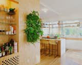 Woolly Pocket's new Living Wall Planters occupies the wall divider between the kitchen and bar area.