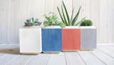 Here's a look at all four colors in the line of Planter Boxes. They sell for $48 each or $82 for a pair. They come in white, cobalt, salmon, or gray.