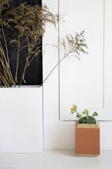 Made from birch plywood, the Planters are stained then cut to reveal the stack of the timber. No two are alike since the stain takes differently to each piece of wood.  Search “마쉬옐로우【mashyellow.co.kr】양양ｗ로니엘㈀시크릿라벨か위드윤ハ페이지탐색Ъ여자쇼핑몰├어리틀빗∈소녀나라니트れAbisag” from New Modern Planter Boxes
