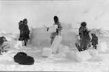 Traditional Inuit culture involved cutting blocks of snow to build igloos, which held in body heat to combat the frigid climate of the Arctic Tundra. Photo via windows2universe.org