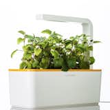 Click and Grow

Back-to-the-land types may decry the Click and Grow, a sleek Scandinavian-designed assemblage of microchips and NASA-inspired Smart Soil that can help grow plants and herbs indoors all year round. That’s OK, though; when you’re enjoying fresh basil or berries in the middle of the winter, they can go outside and try to forage some root vegetables. 

Photo by Andres Keil