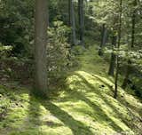 Meticulously transplanted and cultivated moss pathways crisscross the property. Visitors are frequently astonished to learn the paths were not the landscape's natural state.  Photo 8 of 9 in The Remarkable Home of Modernist Designer Russel Wright