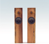 The Beam by Fern and Roby, $4,500.

These stationary tower speakers from Virginia-based industrial design firm Fern and Roby earn their place in your den with pleasingly warm fronts made of heart pine.