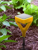 The garden sensor communicates with users' Wi-Fi routers and delivers information on fertilizer quality and sunshine levels to the smartphone app.