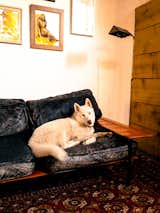 Mathew Gerson’s husky is an unofficial member of the Number Five co-working collective in Venice. Photo by Marc Alt  Photo 14 of 14 in Number Five: A Co-Working Space in Venice Beach