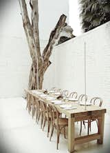 One of the private dining rooms at Hueso includes a dead tree that Cadena says sat in front of the building for six years. Initially, he was going to design a suite of custom chairs for the restaurant, each one with individual features, but he settled on classic Thonet chairs instead.  Photo 8 of 9 in 10,000 Bones Cover the Walls of this Mexico Restaurant