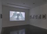 One of two films on show at The Brant Center.Credit Stefan Altenburger, Courtesy The Brant Foundation