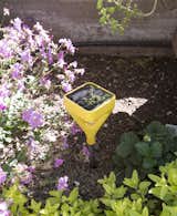 Outdoor, Gardens, and Garden Willson uses Edyn, a smart garden sensor, to track moisture, temperature, fertilizer, and sunshine levels. It automatically updates irrigation patterns based on its findings.  Photo 6 of 14 in A Homeowner Uses Smart Technology to Manage His Napa Property from Anywhere