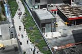 View of the High Line public park, a former elevated New York Central Railroad spur, or branch line.