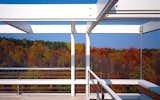 A roof deck provides views of the verdant, southwest Michigan landscape.  Search “prairie escape embraces landscape green roof” from Modern Box Home by the Grandson of Mies van der Rohe