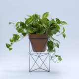 The Double Octahedron Ring Planter from Eric Trine is a geometric accent made of powder-coated steel. The planter instantly sophisticates a standard ten-inch terracotta pot by adding visual interest to the exterior, raising the pot upward, and giving the plant a new footprint. This product launched at Dwell on Design Los Angeles in May 2015.  Search “double octahedron ring planter” from Flower Pots and Planters for Indoor Gardening