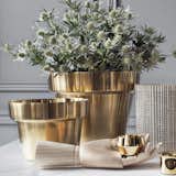 Designed by Swedish designer Monica Förster, the Brushed Brass Flower Pots celebrate the shape of traditional terracotta pots and elevates the look with a luxurious material selection. Maintaining the historical production methods of the Skultuna factory, these flower pots are made through the traditional practice of metal spinning.