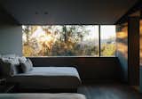 A window in another bedroom overlooks protected woodland.