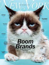 Anna: NYMAG's Grumpy Cat Cover

New York Magazine's Oct. 7th cover, photographed by Jeff Minton, was the best thing to hit my mailbox in a long long time. The cover story is about the latest brands who have made it HUGE, all of a sudden making 1 billion dollars and the CEO is like 26 years old. Grumpy Cat was the perfect icon to represent today's "Boom Brands."