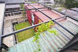 Covered with wire mesh, the green roof will continue to vegetate over time.