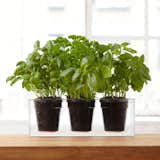 Encourage a friend or loved one to finally grow that kitchen herb garden with this planter from Bosske. With a self-watering mechanism, the planter makes it easy to care for herbs, flowers, or grasses.