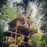 @nelsontreehouse: "We spy a treehouse with some Japanese flair. Could it be a teahouse?"