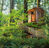 @best_treehouses: "This is the 'bonbibi' treehouse which is one of the 9 treehouses of TreeHouse Point. They are in Washington state and available to rent out as hotels!"