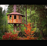 @thedailytreehouse: "Lovin' the color!"  Photo 4 of 9 in Inspiring Tree Houses of Instagram by Allie Weiss