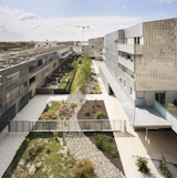 The development's four distinct yet interconnected volumes share a garden.