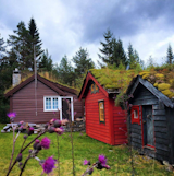 Photo of the Week: Trio of Cozy Cabins with Planted Roofs