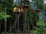 Ethan Schussler built his first tree house at 12 years old. His tree house in Sandpoint, Idaho, sits 30 feet above the ground and can be accessed by an "elevator" consisting of a bicycle that, when pedaled, ascends a pulley system to the top.
