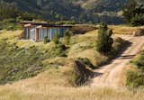 Native grasses, such as red fescue and California oat, dot the landscape surrounding this house in Big Sur.