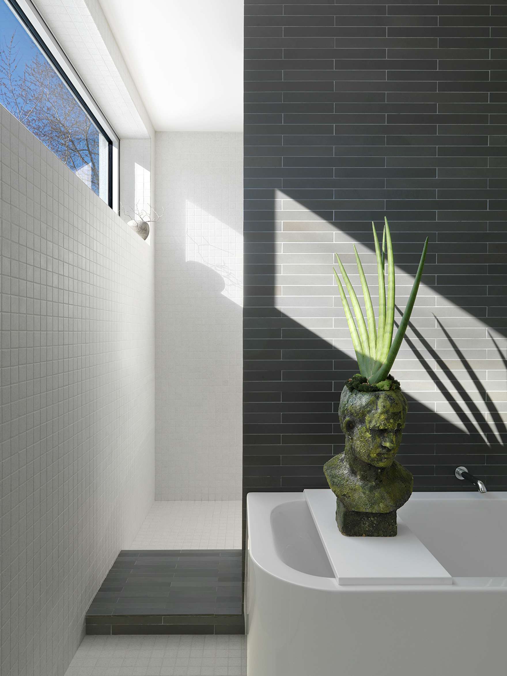 A Guide to Ceramic Versus Porcelain Tile Dwell