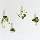 Also from Boskke, the Sky Planter contains a self-watering mechanism to keep the plant healthy, while suspended from the ceiling. This is an ideal option for small spaces, as it declutters tabletops or floors from planters. According to Fehrenbacher, “This hanging 'Sky Pot' takes the idea of a traditional plant pot and literally turns it upside down, making a great, fun, statement piece for a home.”