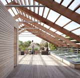 The roof supports a vegetable garden where anything form squash to grapes can be grown. In addition to serving as gathering place during the summer, a large skylight admits illumination into the rooms below.
