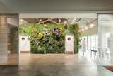 Overall, the plant wall covers over 1,200 square feet of surface area.