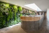 A custom bar sits underneath a retractable skylight. The material palette of the interior is simple, with white walls and concrete flooring.  Photo 1 of 52 in Imaginative by Ian Quine from Vertical Gardens Spruce Up a Dusty Monument
