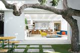 A mature avocado tree provides sun-dappled shade in the back patio of this pared-down Spanish colonial in the Los Feliz neighborhood of Los Angeles.
