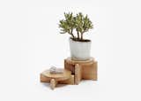 Plant Pedestals by Peter Oyler for Areaware, $50 at areaware.com

Give your houseplants a lift with these beech wood perches designed to show off planters, flower arrangements, and other accessories.  Search “plant pod” from Editor's Picks: 10 Green Gifts for Gardeners and Plant Lovers