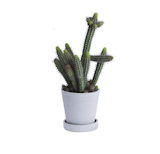 A modern material update on the classic terra-cotta pot, HAY's smooth grey flower pot and saucer is made of polystone—a blend of stone and plastic.