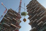 Pair of Skyscrapers Sneak a 2,800-Plant Park into Milan - Photo 2 of 5 - 