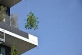 Pair of Skyscrapers Sneak a 2,800-Plant Park into Milan - Photo 4 of 5 - 